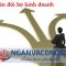 Chuyển đổi từ hộ kinh doanh thành Công ty TNHH 1TV – Lựa chọn chiến lược để phát triển bền vững